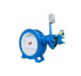 DXH44X蝶式斜置密封多功能止回閥