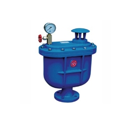 CARX復(fù)合排氣閥